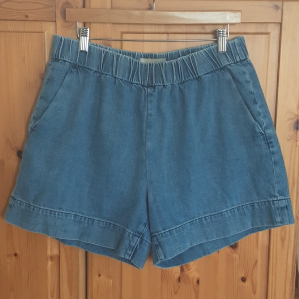 Everlane Blue Jean Shorts